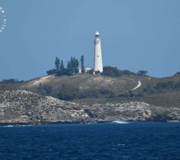 Whale Watch Western Australia