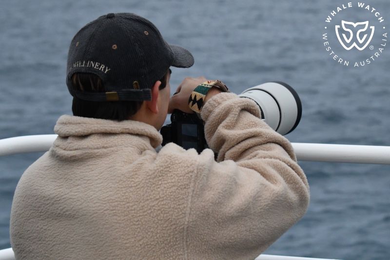 Whale Watch Western Australia
