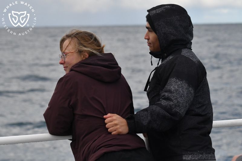Whale Watch Western Australia