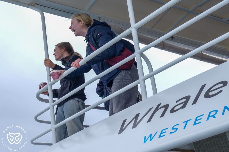 Whale Watch Western Australia