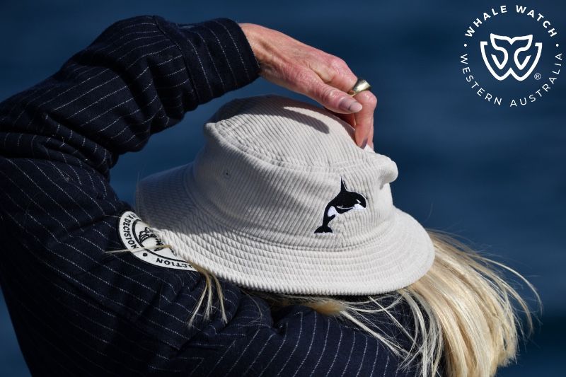 Whale Watch Western Australia