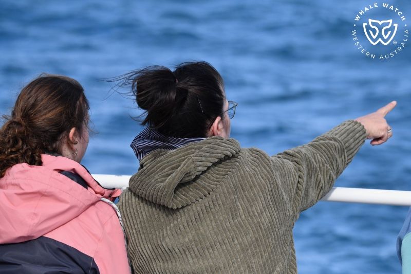 Whale Watch Western Australia