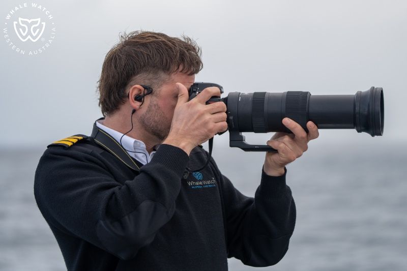 Whale Watch Western Australia