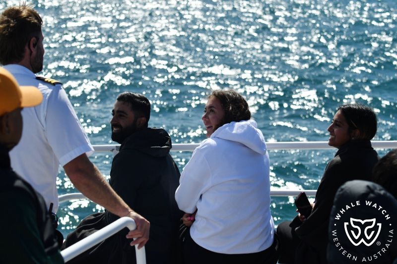 Whale Watch Western Australia