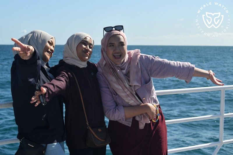Whale Watch Western Australia
