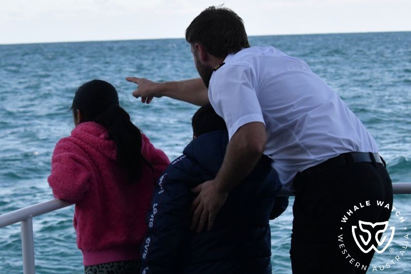 Whale Watch Western Australia