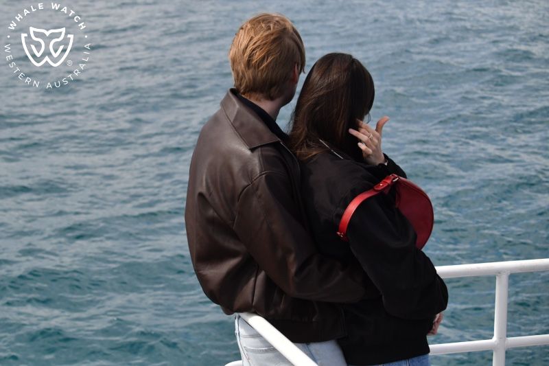 Whale Watch Western Australia
