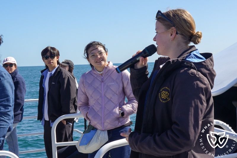 Whale Watch Western Australia