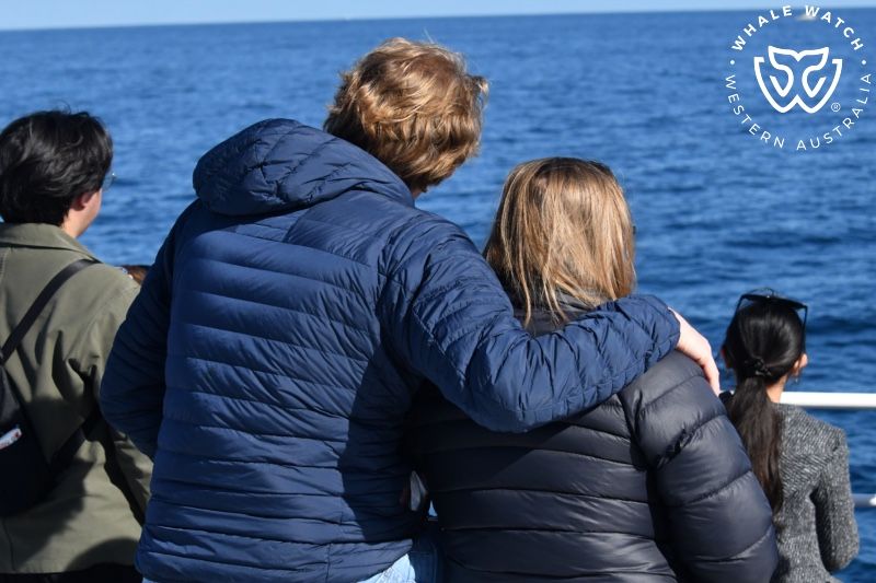 Whale Watch Western Australia