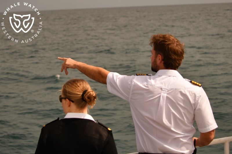 Whale Watch Western Australia