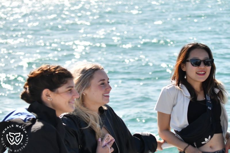Whale Watch Western Australia