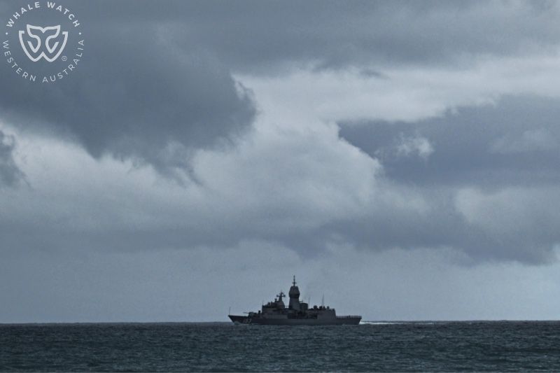 Whale Watch Western Australia