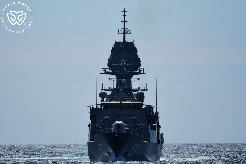 Whale Watch Western Australia