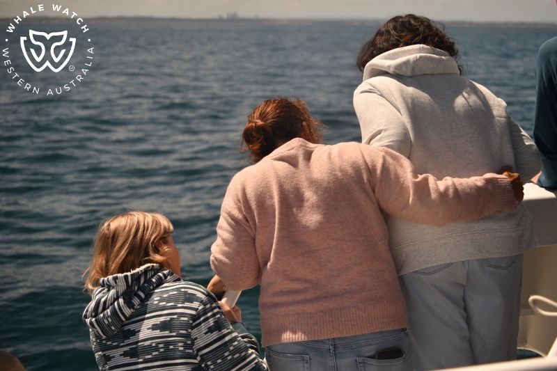 Whale Watch Western Australia