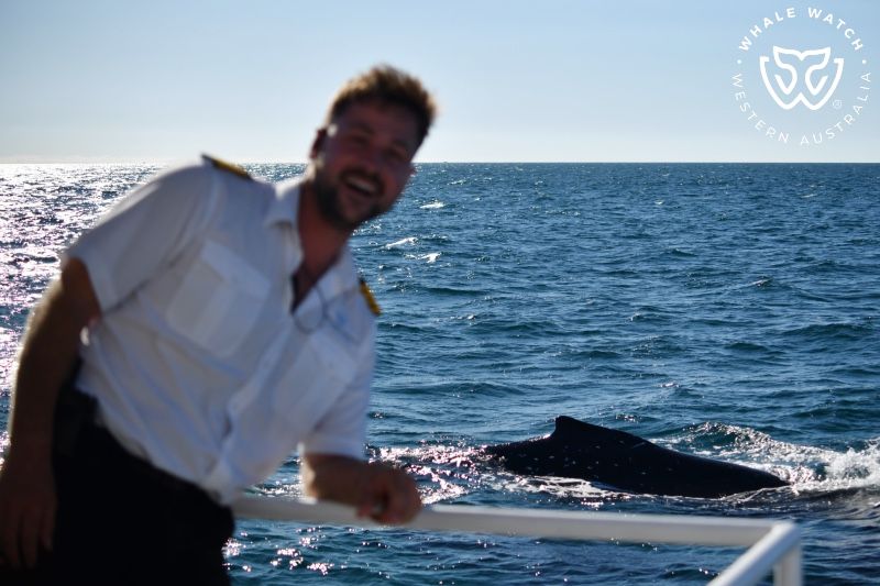 Whale Watch Western Australia