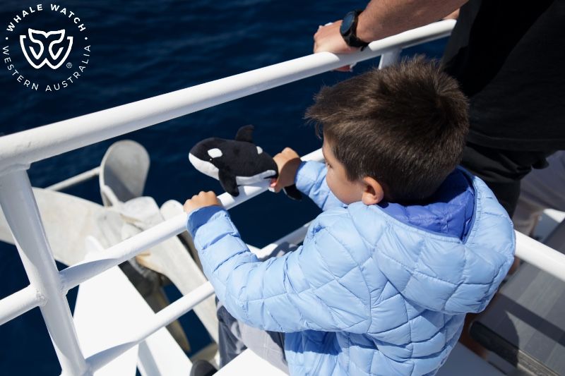 Whale Watch Western Australia