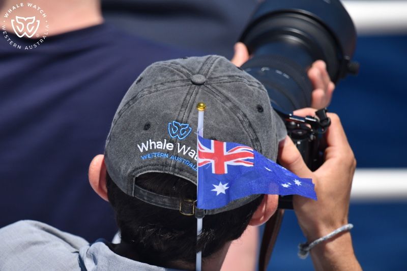 Whale Watch Western Australia