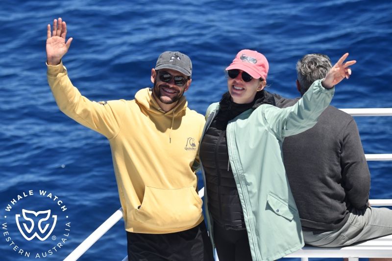 Whale Watch Western Australia