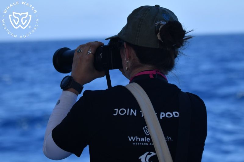 Whale Watch Western Australia