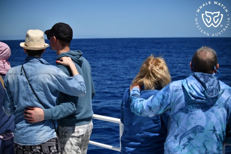 Whale Watch Western Australia