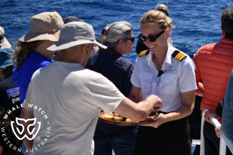 Whale Watch Western Australia