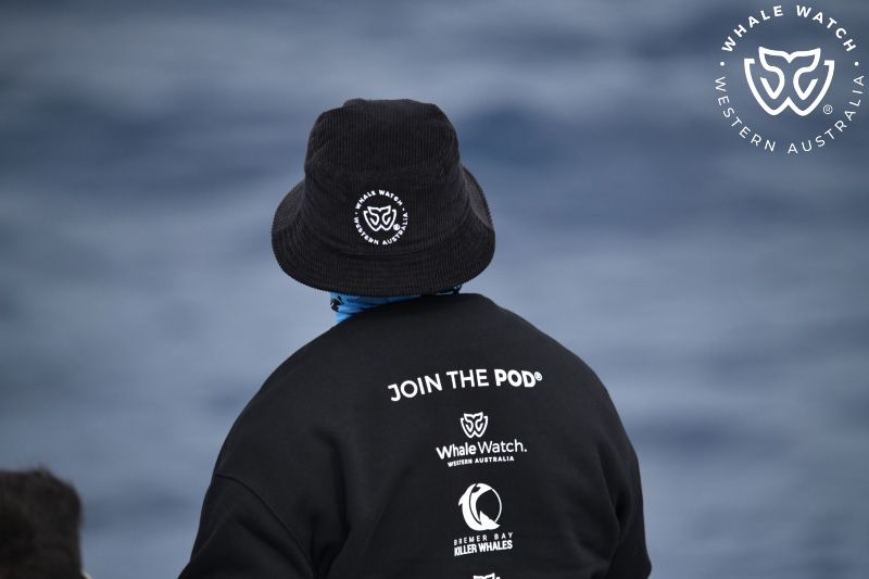 Whale Watch Western Australia