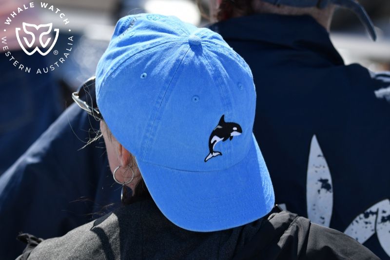 Whale Watch Western Australia