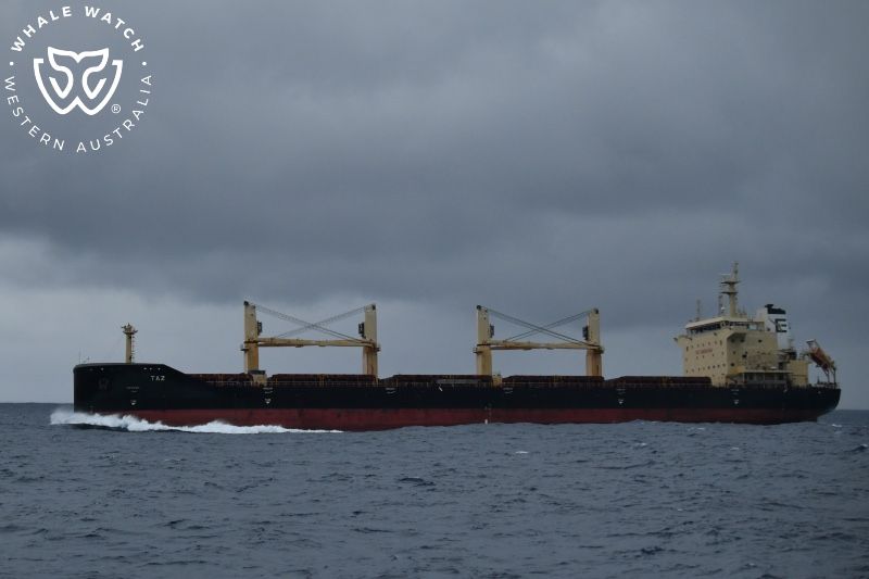 Whale Watch Western Australia