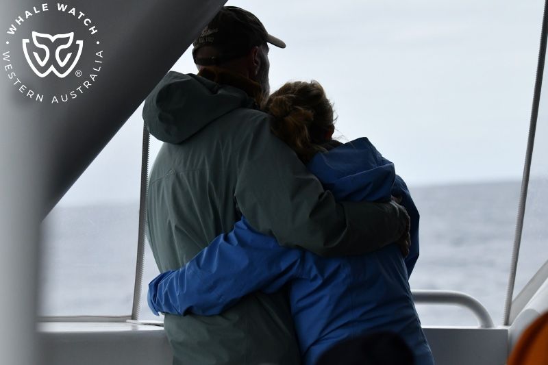 Whale Watch Western Australia