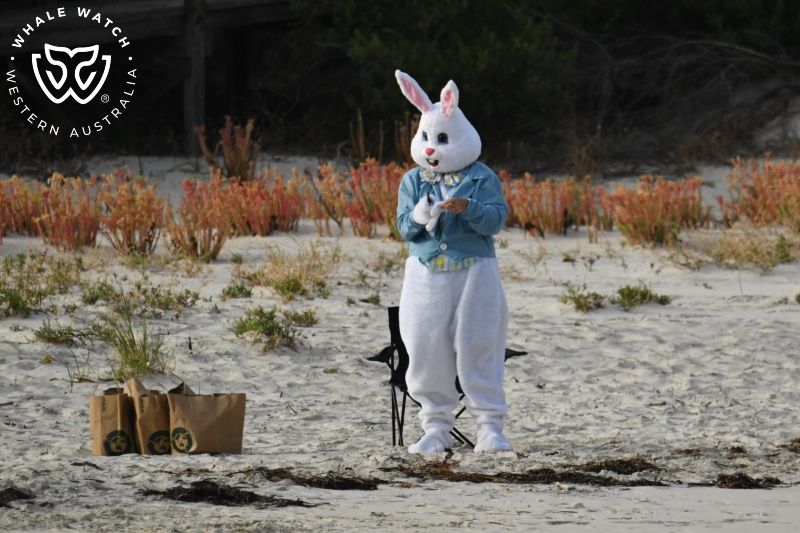 Whale Watch Western Australia