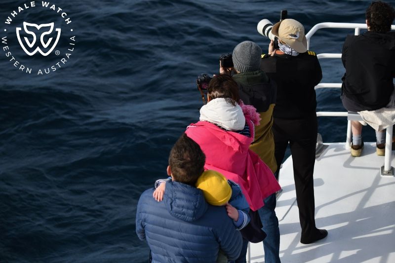 Whale Watch Western Australia