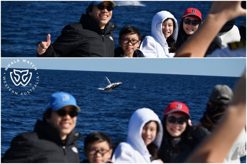 Whale Watch Western Australia