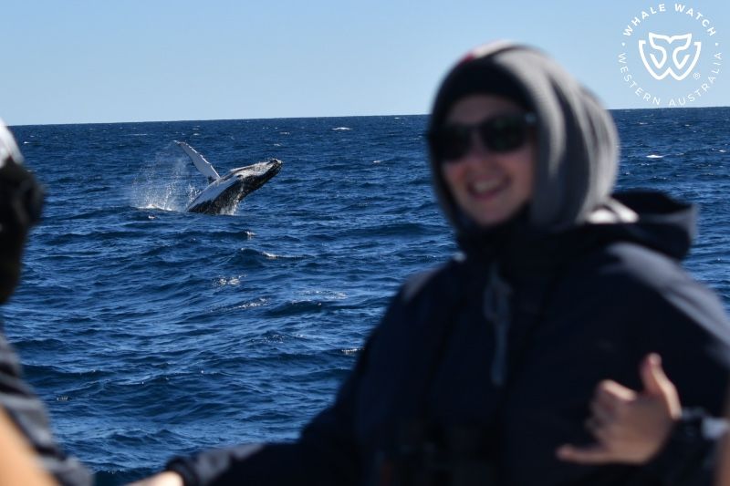 Whale Watch Western Australia