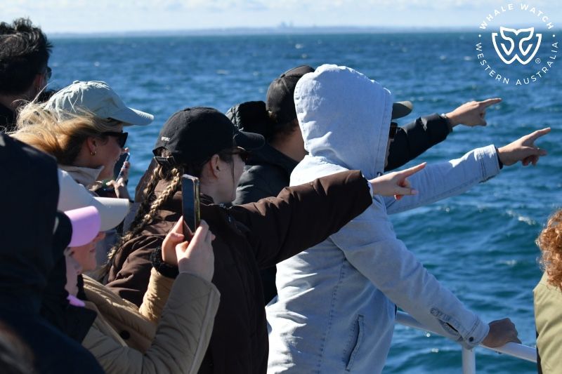 Whale Watch Western Australia