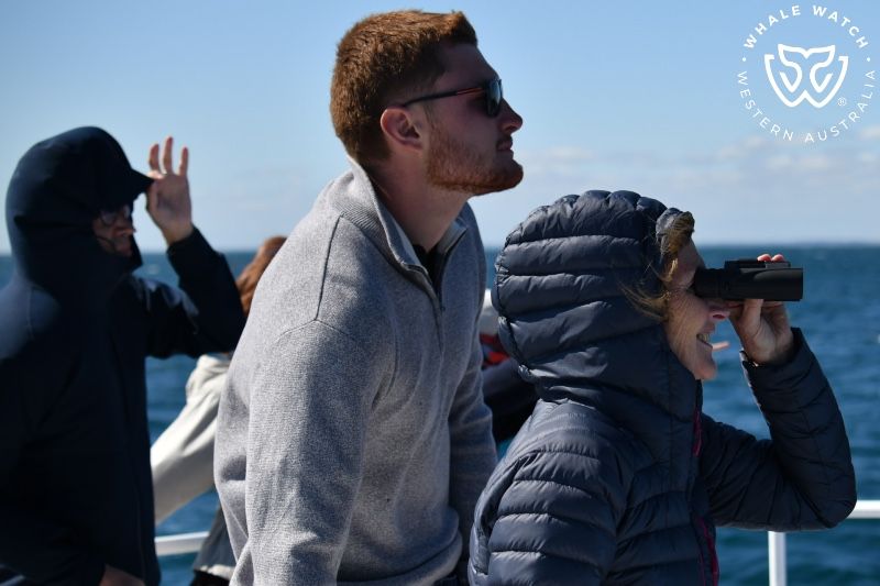 Whale Watch Western Australia