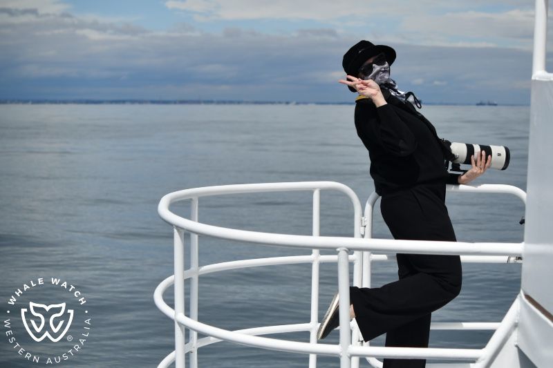 Whale Watch Western Australia