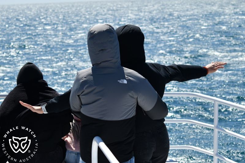 Whale Watch Western Australia