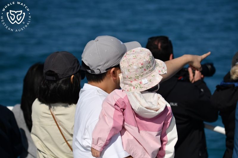 Whale Watch Western Australia