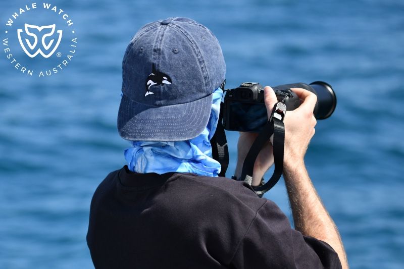 Whale Watch Western Australia