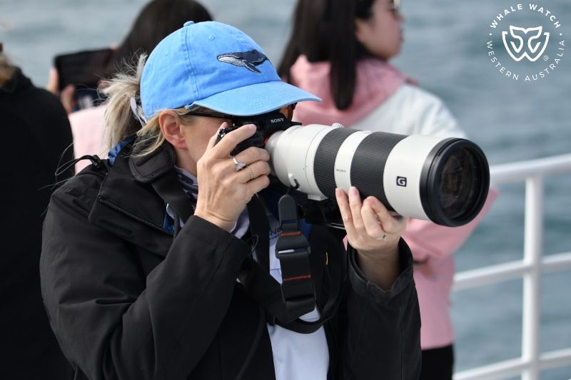 Whale Watch Western Australia