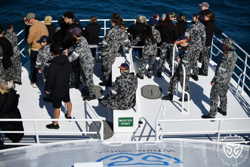 Whale Watch Western Australia